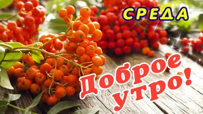 СРЕДА! 🌞 ДОБРОГО УТРА / ДОБРОЕ УТРО / С ДОБРЫМ УТРОМ / ДОБРОГО УТРА  ЛЮБИМОЙ / СНОВА ОСЕНЬ / ОСЕНЬ - YouTube картинки