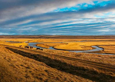 Степь обои для рабочего стола, картинки и фото картинки