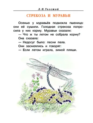 Л. Толстой «Стрекоза и муравьи» — отзыв «Басня для муравьят» от boservas картинки