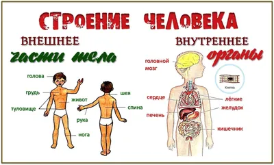 Плакат человек (29 фото) скачать картинки