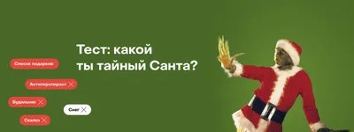 Какой ты тайный Санта? — SETTERS BLOG картинки