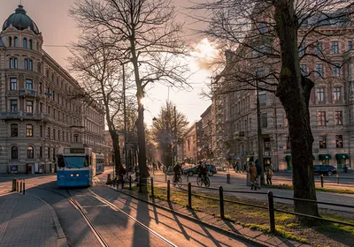 Картинки Дома Швеция дерева Gothenburg Города Улица Трамвай картинки