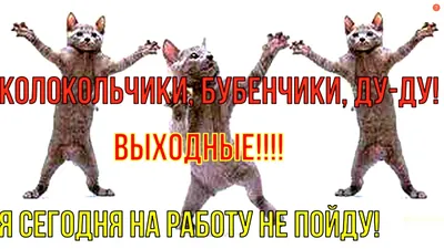 Видеооткрытка Ура! Выходные! Удачных и веселых выходных! картинки