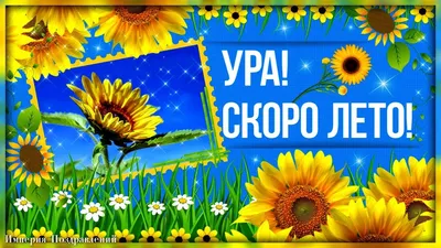 Видеооткрытка Скоро лето к нам придет, очень ждет его народ! картинки