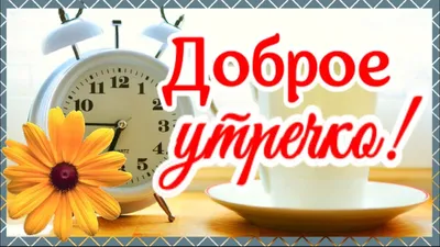 Видеооткрытка Утренний приветик для настроения! С добрым утром! картинки