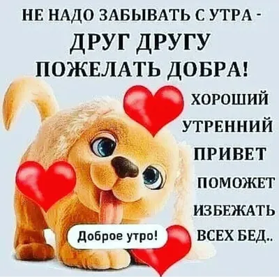 рест!Мицуя Такаши |Снимем мерки?Если ты не против♡ on Twitter: \ картинки