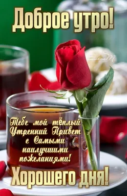 🌹Тебе мой Утренний Привет! 🌹☕💋22.11💖 | Доброе утро картинки