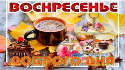 Доброе Воскресное Утро, Друзья! Очень Классная Песня-Пожелание Доброго Утра  И Чудесного Воскресенья! - YouTube картинки