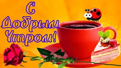 С ДОБРЫМ УТРОМ! ПОТРЯСАЮЩЕ КРАСИВАЯ ОТКРЫТКА И ШИКАРНОЙ МУЗЫКОЙ! - YouTube картинки