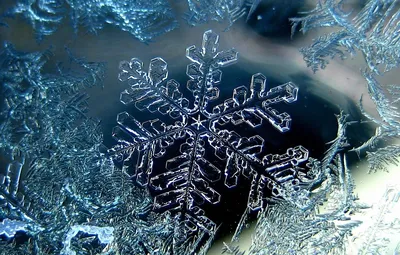 Обои холод, зима, мороз, Snow, Снежинка картинки на рабочий стол, раздел  макро - скачать картинки