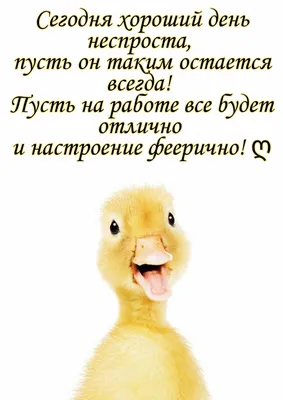 Картинка: Сегодня хороший день неспроста, пусть он таким остается всегда! картинки