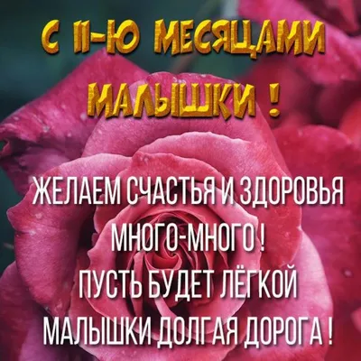 Картинка с днем рождения на 11 месяцев девочке (скачать бесплатно) картинки