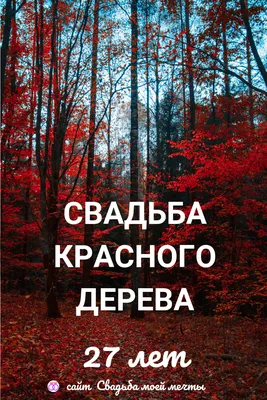 27 лет свадьбы | Свадьба, Лето, Годовщина картинки