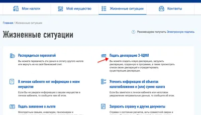 Как подать декларацию 3-НДФЛ через личный кабинет налогоплательщика на  сайте ФНС России? | Верни налог картинки