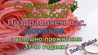 37 Лет Свадьбы Поздравление с Муслиновая Свадьбой с Годовщиной Красивая  Прикольная Открытка в Стихах - YouTube картинки