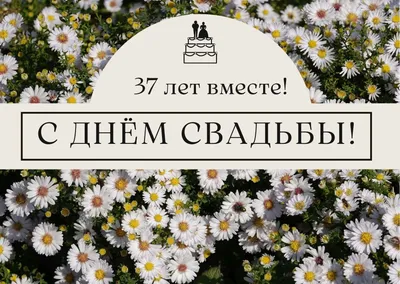 37 лет совместной жизни - муслиновая свадьба: поздравления, открытки, что  подарить, фото-идеи торта картинки