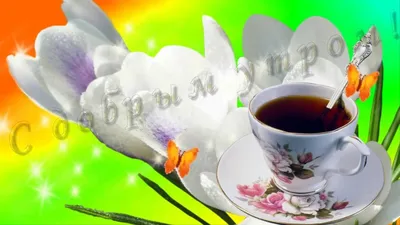 Красивые картинки «Good Morning» (38 фото) ⋆ GifFun.ru картинки