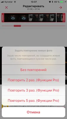 Как сделать живые обои для iPhone из любого видео или гифки - Лайфхакер картинки