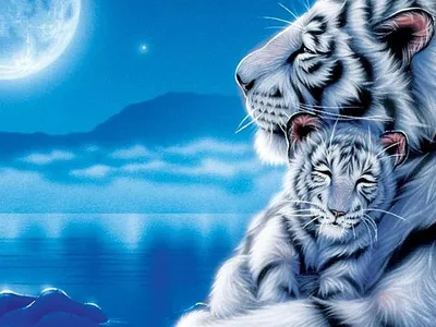 Скачать обои белый тигр с тигренком, white tiger with cub разрешение  1400x1050 #66726 картинки