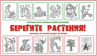 Плакат берегите растения раскраска - 29 фото картинки