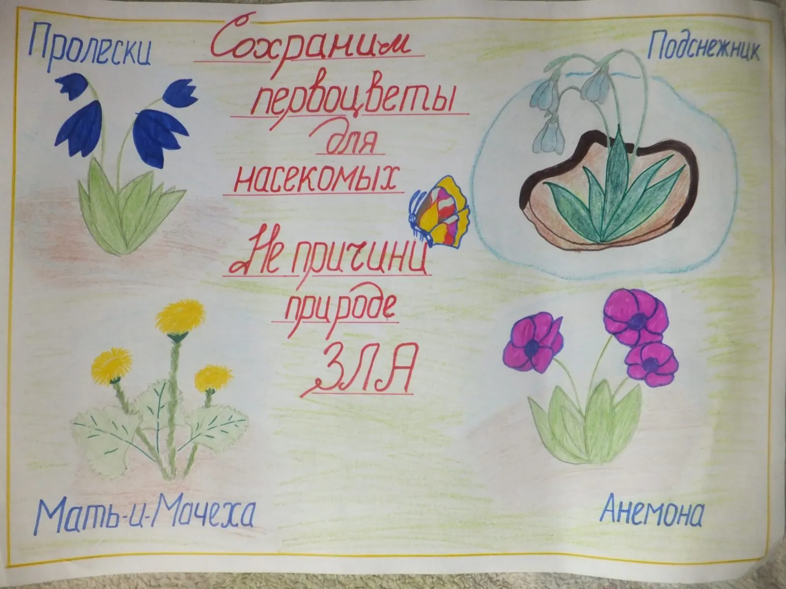 Плакат первоцветы. Плакат берегите растения. Плакат береги растения. Плакат на тему охрана растений. Плакат в защиту дикорастущих растений.
