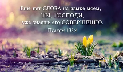 Идеи на тему «Красивые картинки со стихами из Библии.» (27) | библия,  картинки, стихи картинки