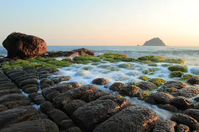 Обои водоросли, камни, море на рабочий стол картинки