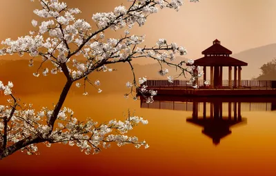 Обои Сакура, Sakura, Восточные пейзажи, дома на воде, house on the water,  Eastern landscapes картинки на рабочий стол, раздел рендеринг - скачать картинки