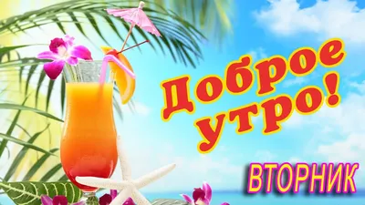 ВТОРНИК 🎺 ДОБРОГО УТРА / ДОБРОЕ УТРО / С ДОБРЫМ УТРОМ / ДОБРОГО УТРА  ЛЮБИМОЙ / ПОЗИТИВ / ПОЗИТИВЧИК - YouTube картинки