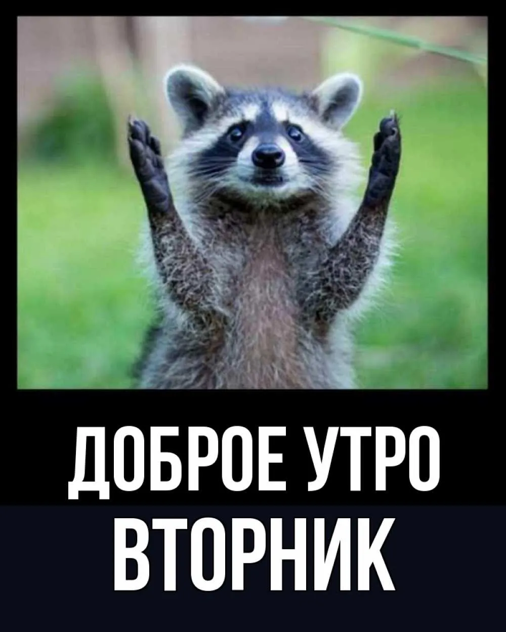 Вторник картинки прикольные