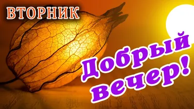 🍁 ВТОРНИК 🎺 ДОБРОГО УТРА / ДОБРОЕ УТРО / С ДОБРЫМ УТРОМ / ДОБРОГО УТРА  ЛЮБИМОЙ / ПОЗИТИВ / ОТКРЫТКА - YouTube картинки