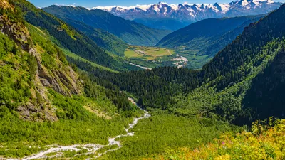 Картинки грузия, горы, лес, пейзаж, ushba glacier, mestia, долина, природа  - обои 1920x1080, картинка №405295 картинки