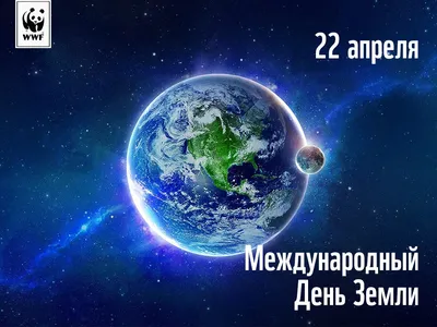 22 апреля -Международный день Земли — Суходольская школа №2 картинки