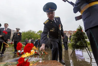 День пограничника в Приморье: память о героях, торжественное построение и  поздравления - PrimaMedia картинки