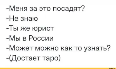 юристю / смешные картинки и другие приколы: комиксы, гиф анимация, видео,  лучший интеллектуальный юмор. картинки