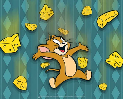 Tom and Jerry / Том и Джерри - Обои из мультиков - Обои из мультфильмов для  рабочего стола - Wallpapers картинки