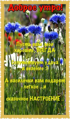 Пин от пользователя Светлана на доске Здравствуй, лето! | Доброе утро,  Утренние цитаты, Лето картинки