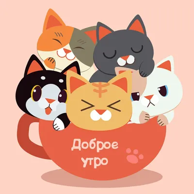 Доброе утро котик [47 картинок] картинки