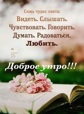 Положительный настрой. | Группа на OK.ru | Вступай, читай, общайся в  Одноклассниках! | Доброе утро, Утренние сообщения, Цитаты картинки