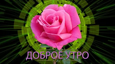 ✓Доброе утро✓ Анимационная открытка 4К - YouTube картинки