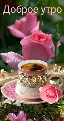 Доброе утро цветы картинка #472148 - Pin by Оксана Не узнаешь on Доброе  утро | Good morning coffee images, Morning coffee images, Good morning  coffee - скачать картинки