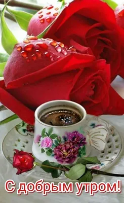 Pin by Болдырева Марина on Доброе утро | Coffee breakfast, Coffee tea mix,  Spiced coffee картинки