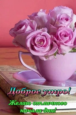 Pin by Светлана on Доброе утро | Flowers, Good morning flowers pictures,  Good morning flowers картинки