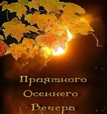 Добрый осенний вечер - фото и картинки: 67 штук картинки