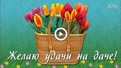 Желаю удачи на даче! Весёлая музыкальная открытка - YouTube картинки