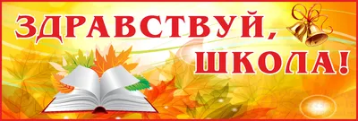 БАННЕР ЗДРАВСТВУЙ, ШКОЛА 3000Х1000мм Б-Д07 картинки