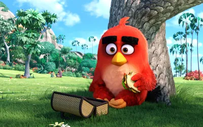 Angry Birds в кино Рэд обои для рабочего стола, картинки и фото -  RabStol.net картинки