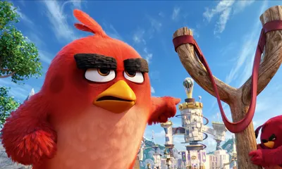 Обои The Angry Birds Movie HD - картинка на рабочий стол и фото бесплатно картинки