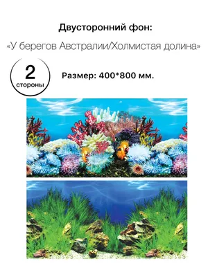 Фон для авквариума, 400*800мм \ картинки