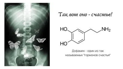 Бабочки в животе летают»: почему «гормонов счастья» не существует? |  Технологии XXI века | Дзен картинки